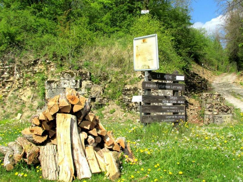 La Taniere Douce Bed & Breakfast Soulaucourt-sur-Mouzon Exterior foto